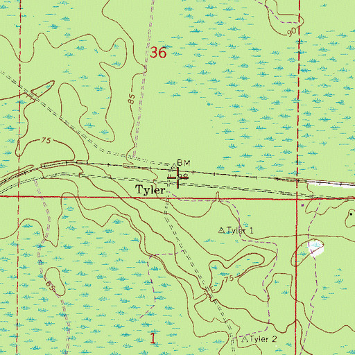 Topographic Map of Tyler, FL