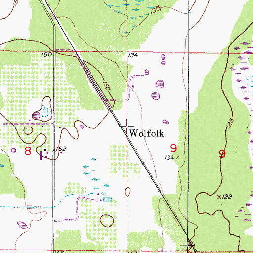 Topographic Map of Wolfolk, FL