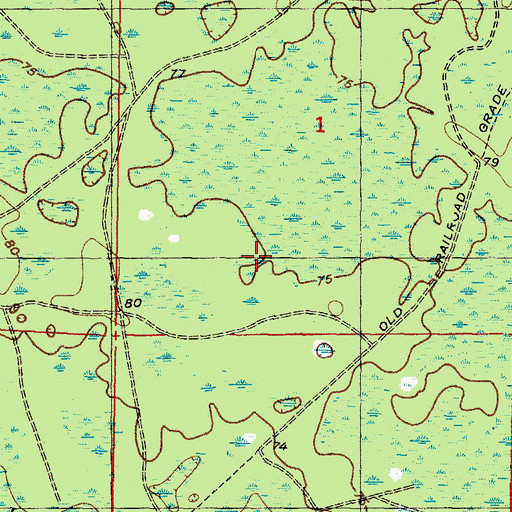 Topographic Map of Lafayette County, FL