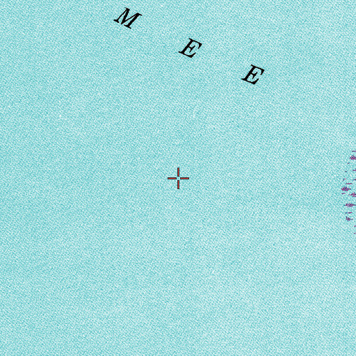 Topographic Map of Lake Kissimmee, FL