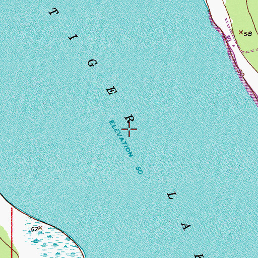 Topographic Map of Tiger Lake, FL