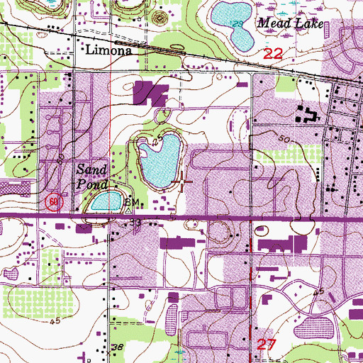 Topographic Map of Brandon Town Center, FL