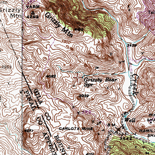 Topographic Map of Grizzly Bear Spring, AZ