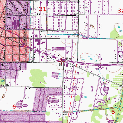 Topographic Map of Desoto Shopping Center, FL