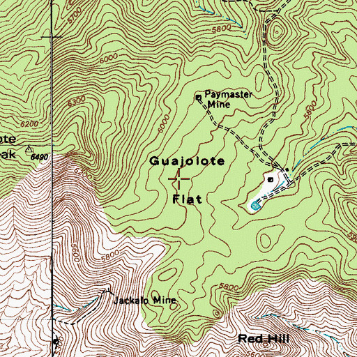 Topographic Map of Guajolote Flat, AZ