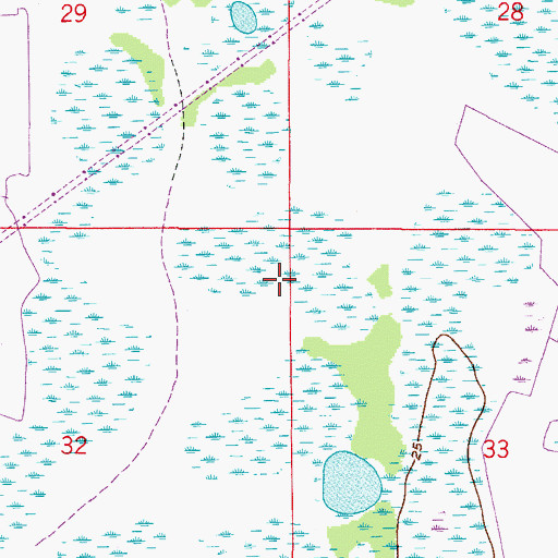 Topographic Map of Homestead Shopping Center, FL