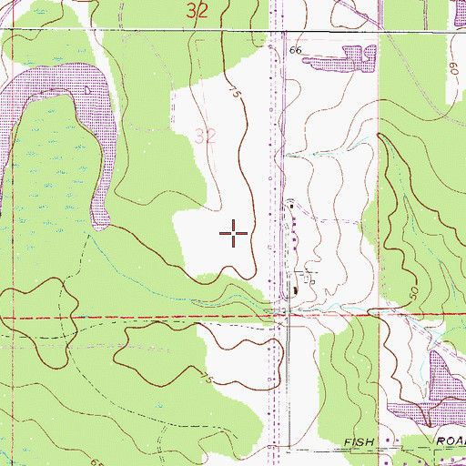 Topographic Map of Lane Center, FL