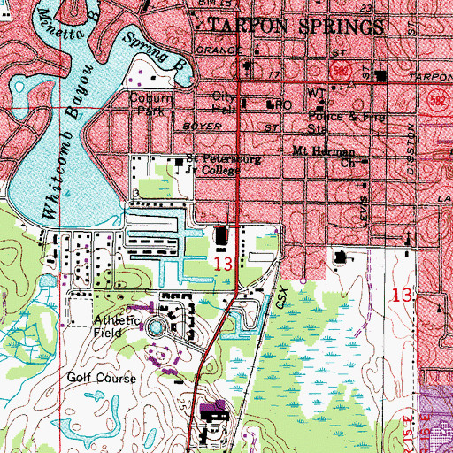 Topographic Map of Rayonet Square, FL