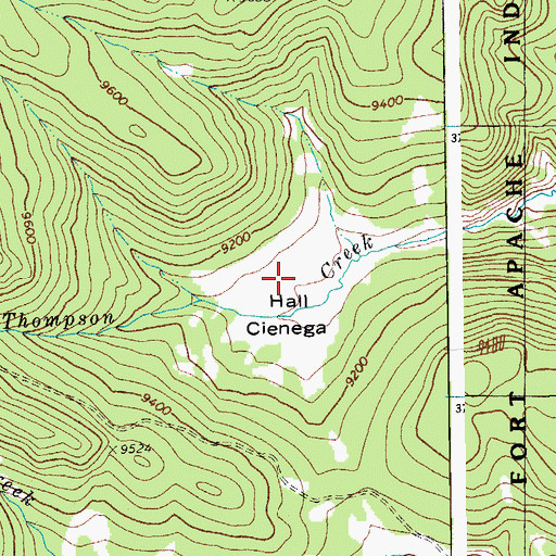 Topographic Map of Hall Cienega, AZ
