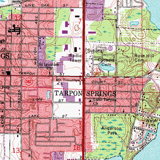 Topographic Map of Tarpon Square, FL