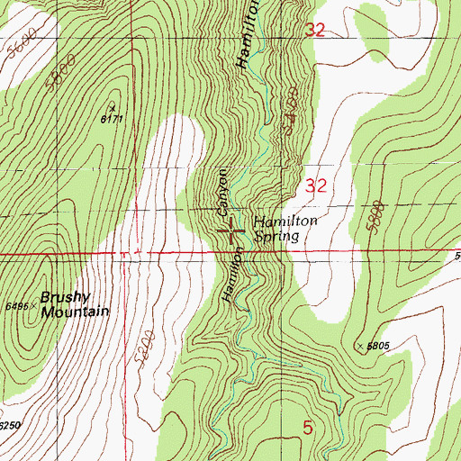 Topographic Map of Hamilton Spring, AZ