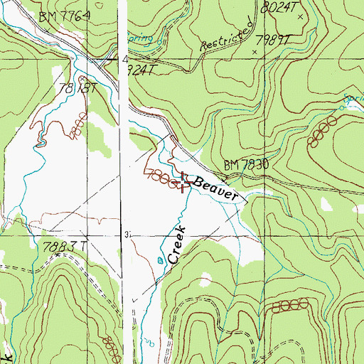 Topographic Map of Hannagan Creek, AZ