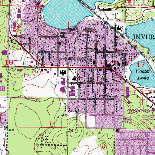 Topographic Map of Inverness Middle School, FL