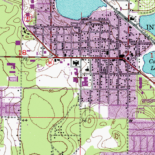 Topographic Map of Inverness Primary School, FL