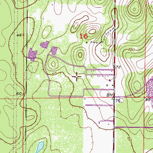 Topographic Map of Citrus County Renaissance Center, FL