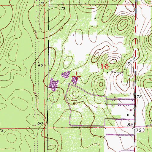 Topographic Map of Lecanto Primary School, FL
