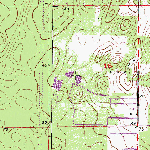 Topographic Map of Lecanto High School, FL