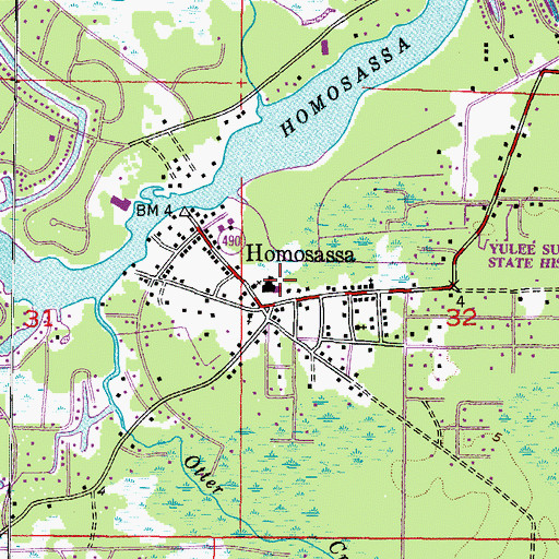 Topographic Map of Homosassa Elementary School, FL