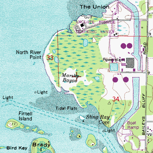 Topographic Map of Marshy Bayou, FL