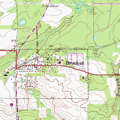 Topographic Map of Brooker Elementary School, FL