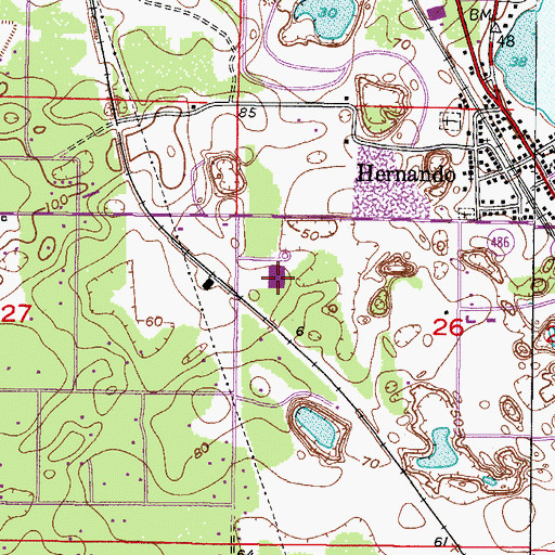 Topographic Map of Hernando Elementary School, FL