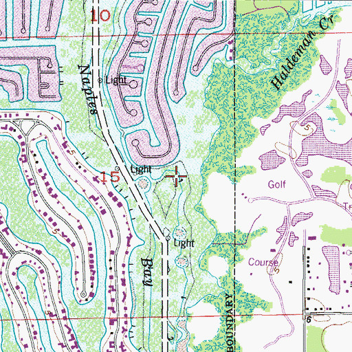 Topographic Map of Haldeman Creek, FL