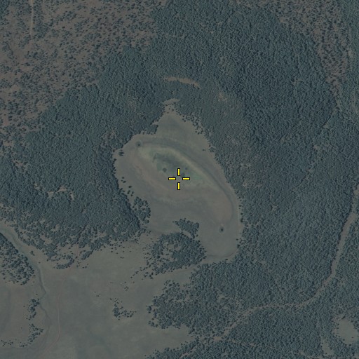Aerial/Satellite Image of Harris Lake, AZ