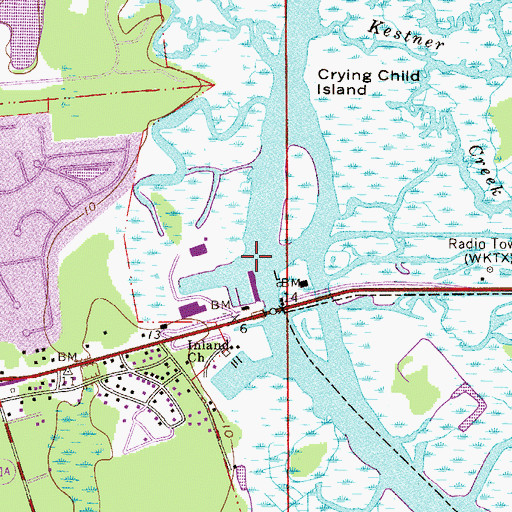 Topographic Map of Jacksonville Shipyards Bellinger Division Pier 1 Obstruction Light, FL