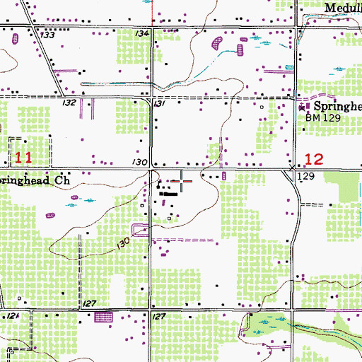 Topographic Map of Springhead Elementary School, FL