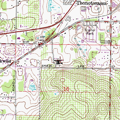 Topographic Map of Thonotosassa Elementary School, FL