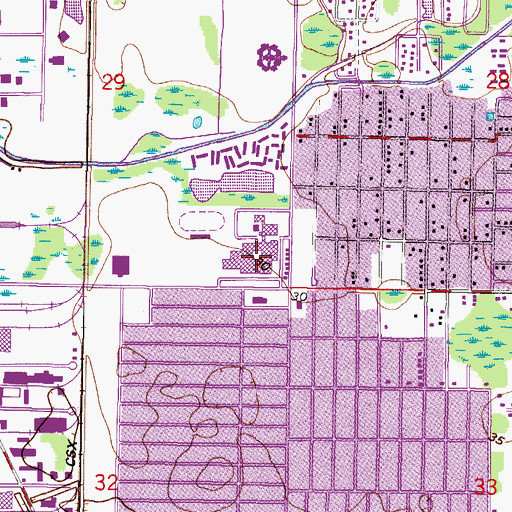Topographic Map of Leto High School, FL