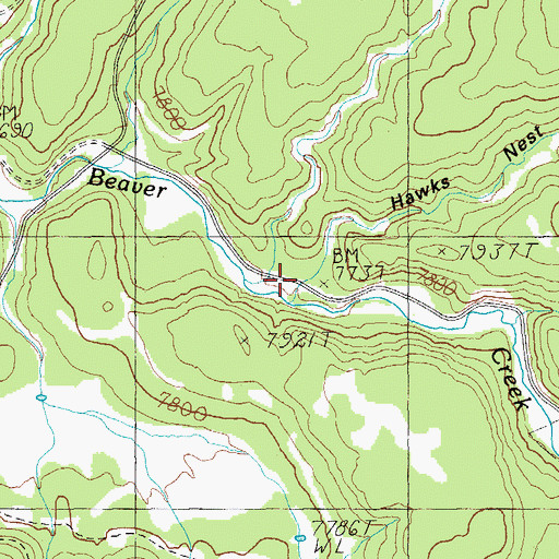Topographic Map of Hawks Nest Canyon, AZ