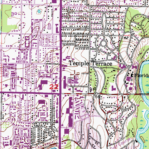 Topographic Map of Temple Terrace Elementary School, FL