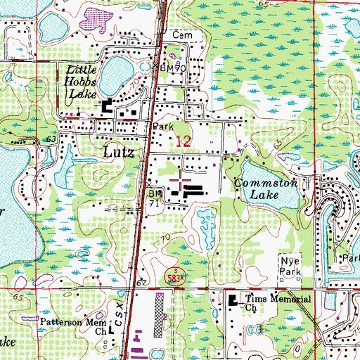 Topographic Map of Lutz Elementary School, FL