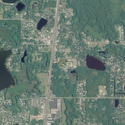 Aerial/Satellite Image of Lutz Elementary School, FL
