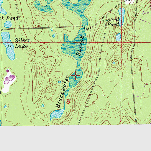Topographic Map of Roundabout Lake, FL
