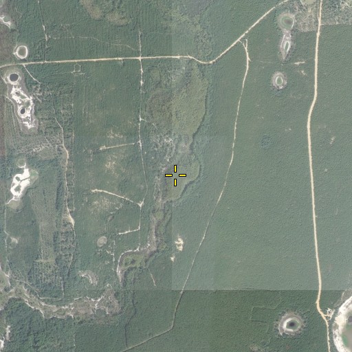 Aerial/Satellite Image of Roundabout Lake, FL
