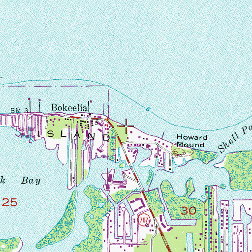 Topographic Map of Pine Island Middle School, FL