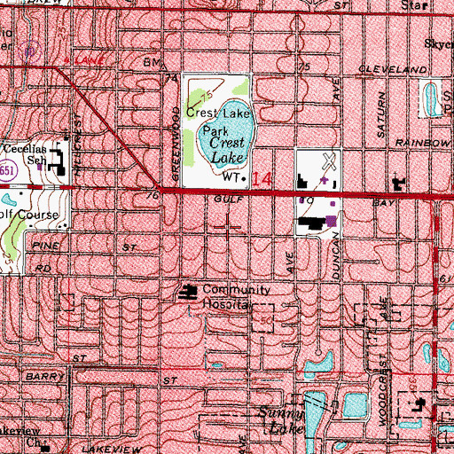 Topographic Map of Excelsior, FL