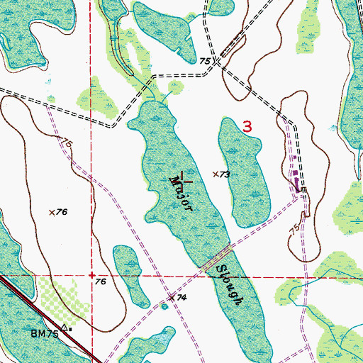 Topographic Map of Major Slough Lake, FL