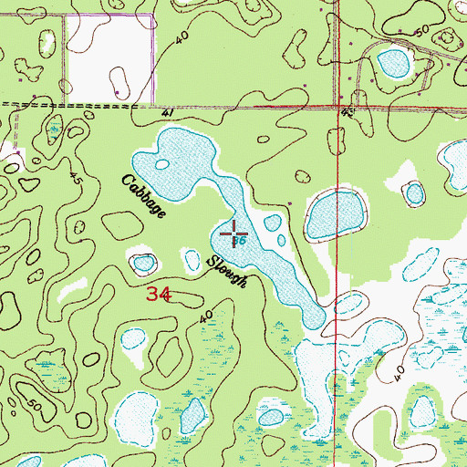 Topographic Map of Cabbage Slough Pond, FL