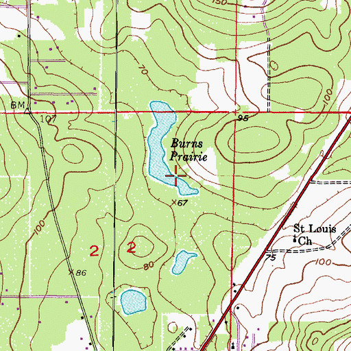 Topographic Map of Burns Prairie, FL