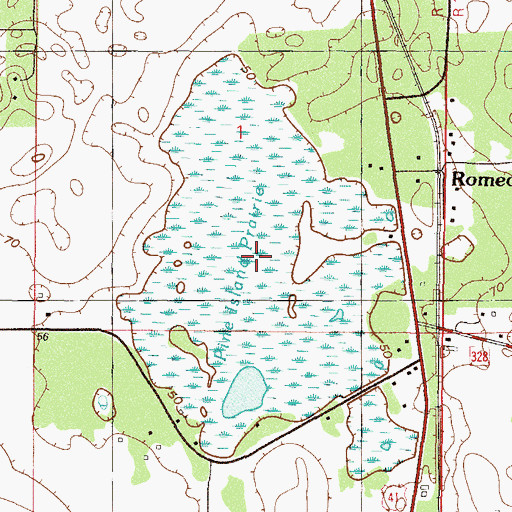 Topographic Map of Pine Island Prairie, FL