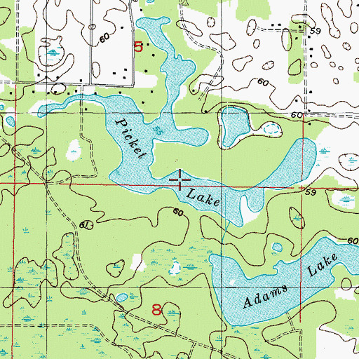 Topographic Map of Picket Lake, FL