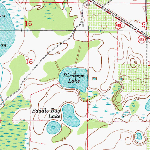 Topographic Map of Birdseye Lake, FL
