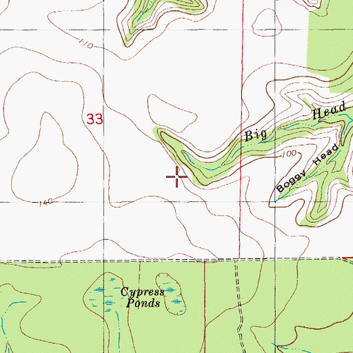 Topographic Map of Dave McCloud Pond, FL