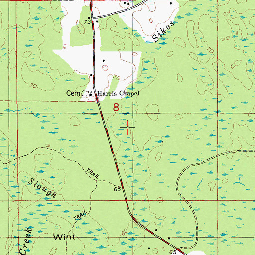 Topographic Map of Mac Steverson Pond, FL