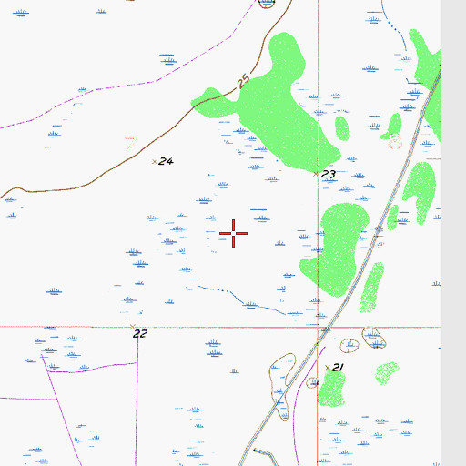 Topographic Map of W H Peeples Pond Two, FL