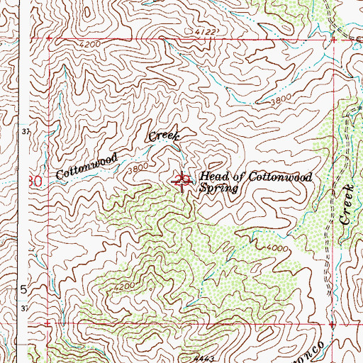 Topographic Map of Head of Cottonwood Spring, AZ