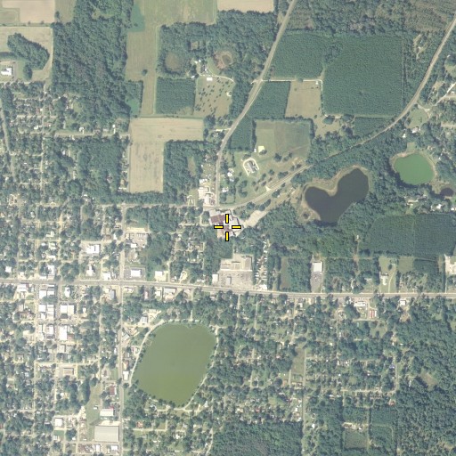 Aerial/Satellite Image of Madison Primary School, FL